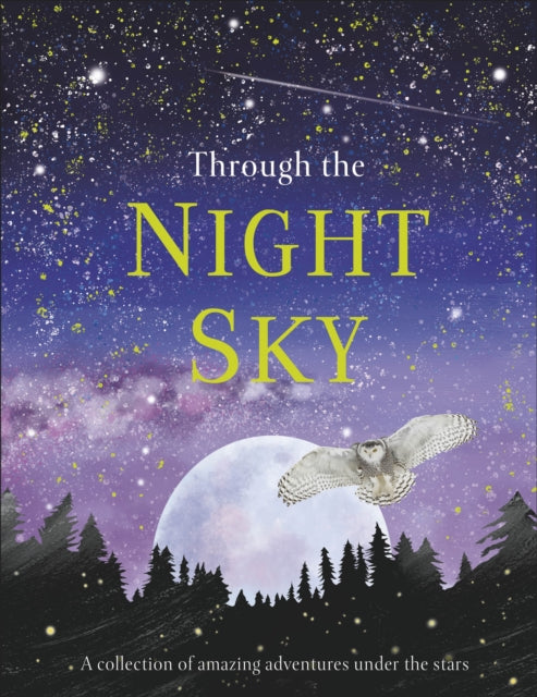 Book cover of: Through the Night Sky. By: DK Publishing