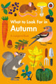 What to Look For in Autumn 9780241416167 Elizabeth Jenner