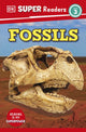 Book cover of: DK Super Readers Level 3 Fossils. By: DK Publishing