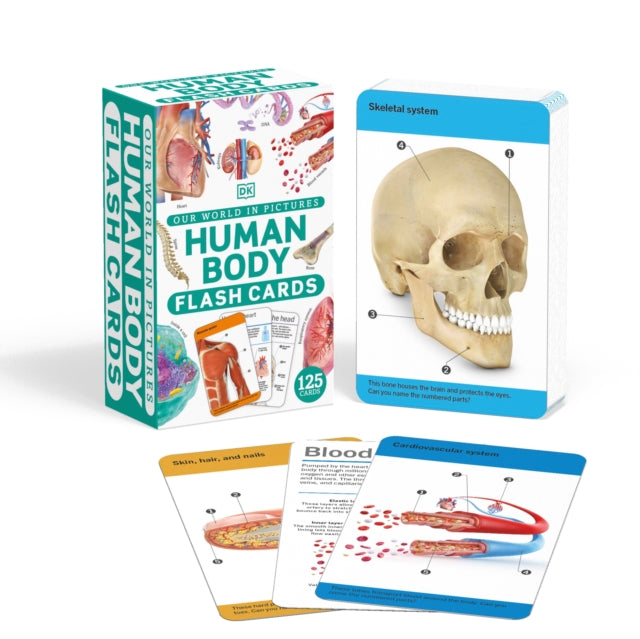 Book cover of: Our World in Pictures Human Body Flash Cards