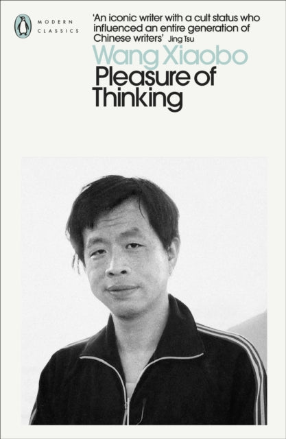 Pleasure of Thinking 9780241633267 Wang Xiaobo