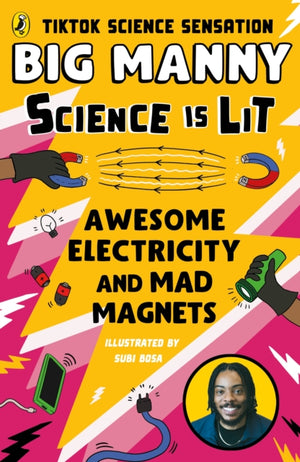 Awesome Electricity and Mad Magnets