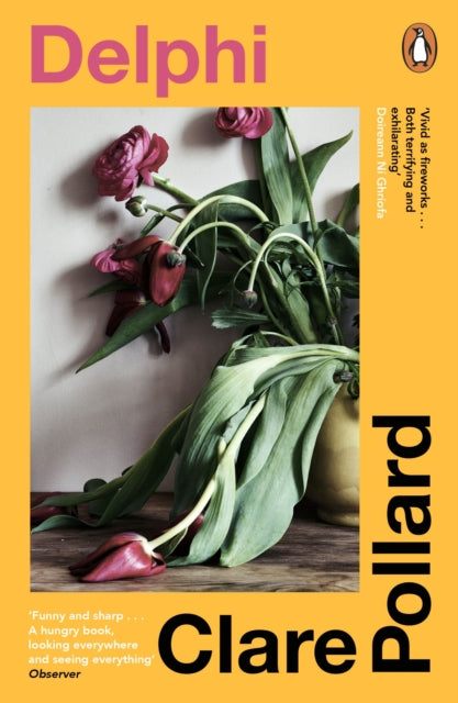 Book cover of: Delphi. By: Clare Pollard