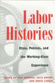Book cover of: Labor Histories