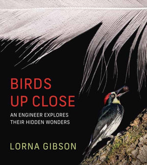 Birds Up Close