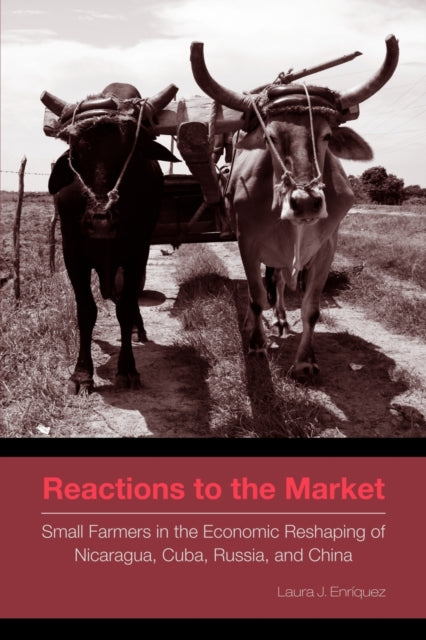 Book cover of: Reactions to the Market. By: Laura J. Enríquez