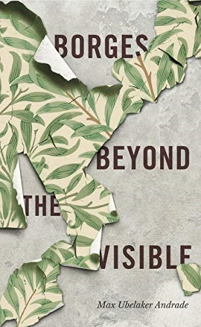 Book cover of: Borges Beyond the Visible. By: Max Ubelaker Andrade