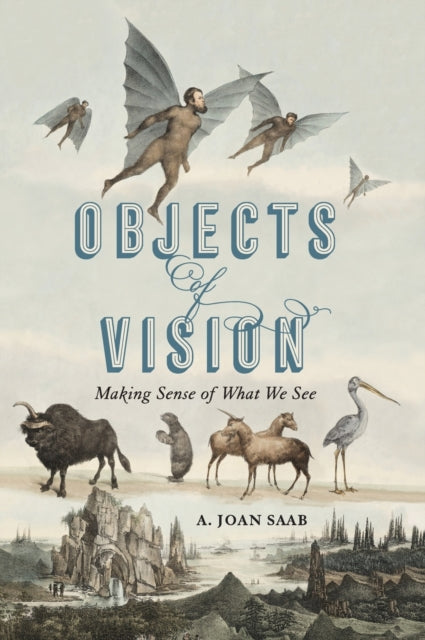 Book cover of: Objects of Vision. By: A. Joan Saab