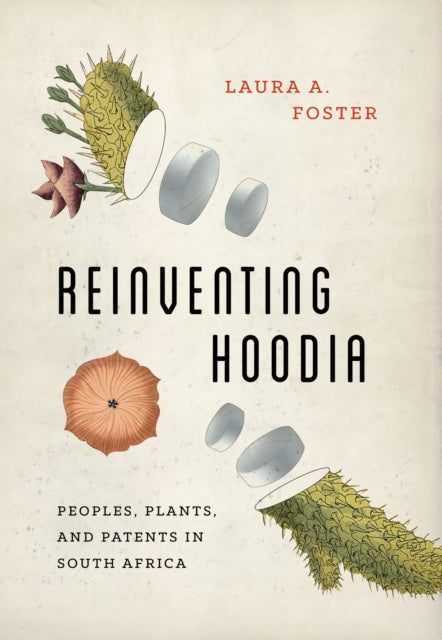 Book cover of: Reinventing Hoodia. By: Laura A. Foster