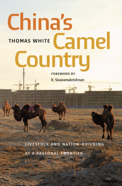 Book cover of: China's Camel Country. By: Thomas White