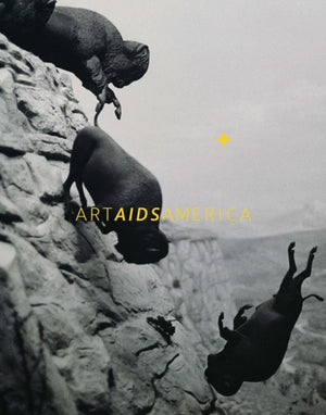 Art AIDS America
