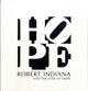 Book cover of: Robert Indiana and the Star of Hope. By: John Wilmerding