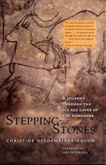 Book cover of: Stepping-Stones. By: Christine Desdemaines-Hugon