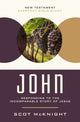 Book cover of: John. By: Scot McKnight