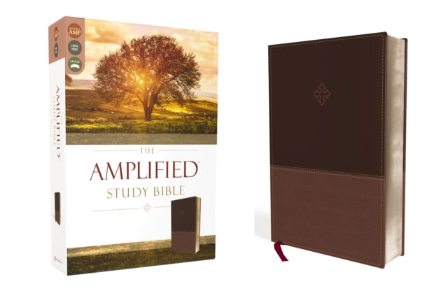 Book cover of: Amplified Study Bible, Leathersoft, Brown