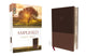 Book cover of: Amplified Study Bible, Leathersoft, Brown