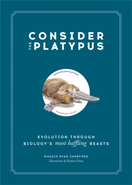 Book cover of: Consider the Platypus. By: Maggie Ryan Sandford