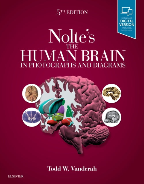 Book cover of: Nolte's The Human Brain in Photographs and Diagrams. By: Todd Vanderah
