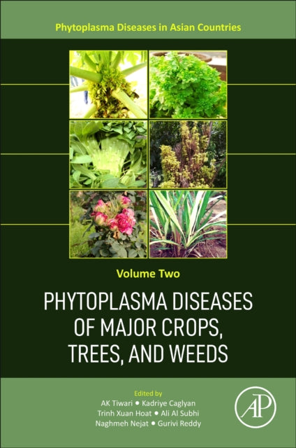 Book cover of: Phytoplasma Diseases of Major Crops, Trees, and Weeds