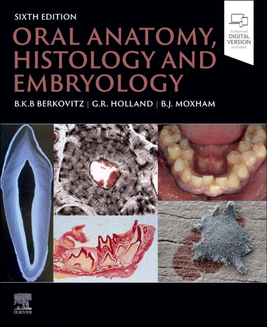 Book cover of: Oral Anatomy, Histology and Embryology. By: Barry K. B. Berkovitz