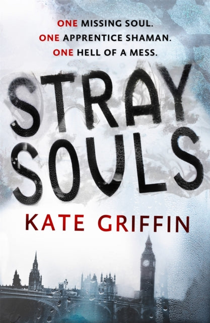 Book cover of: Stray Souls