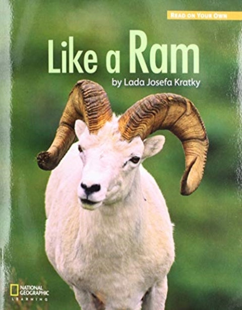 Royo Readers Level a Like a RA M