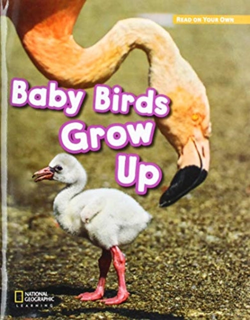 Book cover of: ROYO READERS LEVEL B BABY BIRD S GROW UP