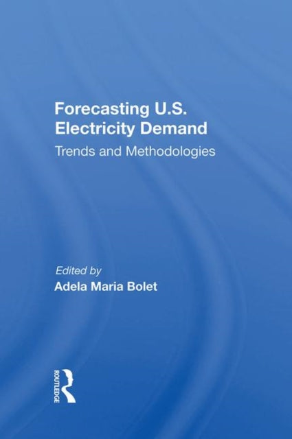 Book cover of: Forecasting U.S. Electricity Demand. By: Adela Maria Bolet