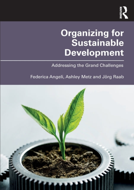 Book cover of: Organizing for Sustainable Development. By: Federica Angeli