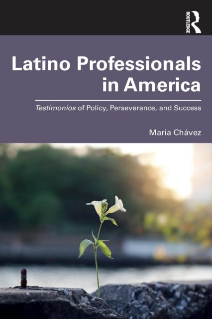 Book cover of: Latino Professionals in America. By: Maria Chávez