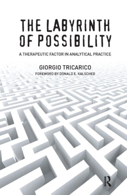 Book cover of: Labyrinth of Possibility