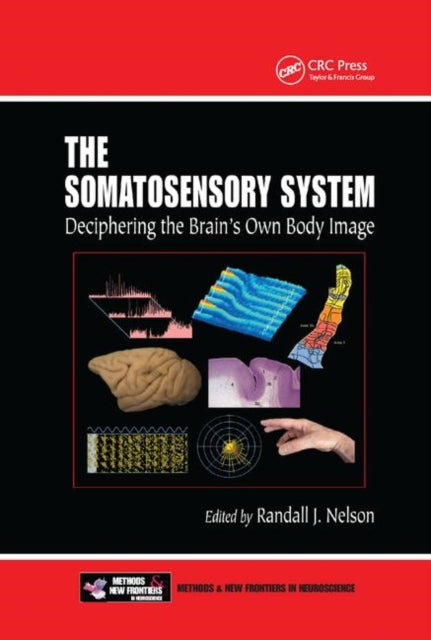 Book cover of: Somatosensory System. By: Randall J. Nelson