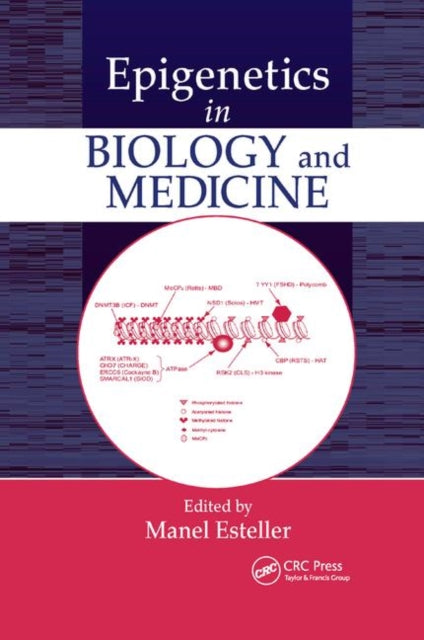 Book cover of: Epigenetics in Biology and Medicine. By: Manel Esteller