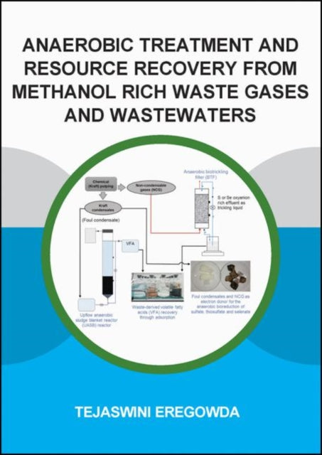 Anaerobic Treatment and Resource Recovery from Methanol Rich Waste Gases and Wastewaters