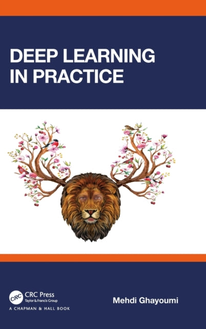 Deep Learning in Practice