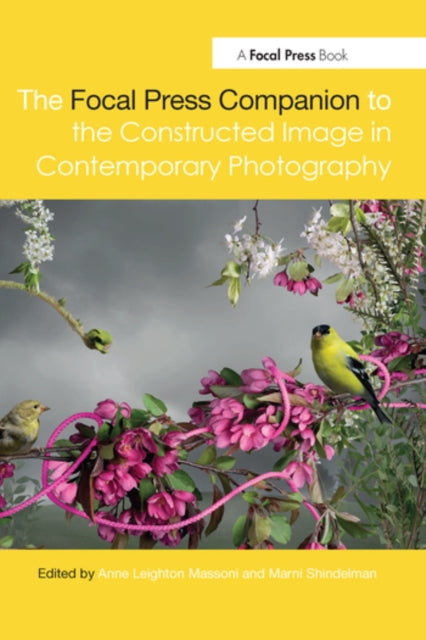 Book cover of: Focal Press Companion to the Constructed Image in Contemporary Photography. By: Marni Shindelman