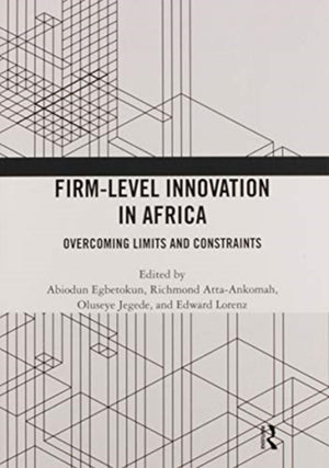 Firm-Level Innovation In Africa