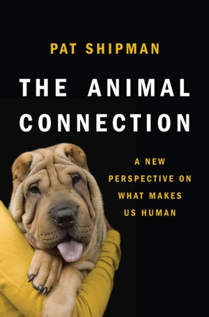 Animal Connection