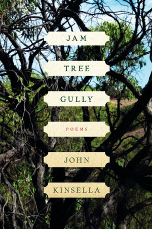 Jam Tree Gully