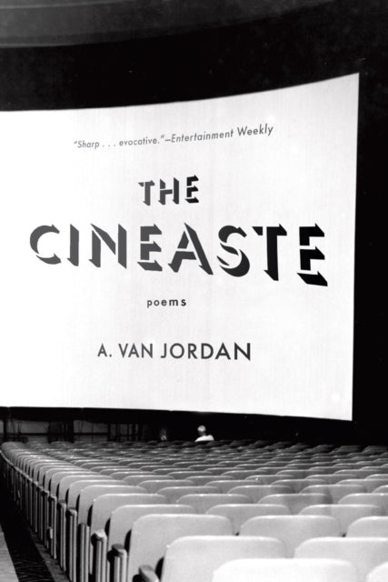Book cover of: Cineaste