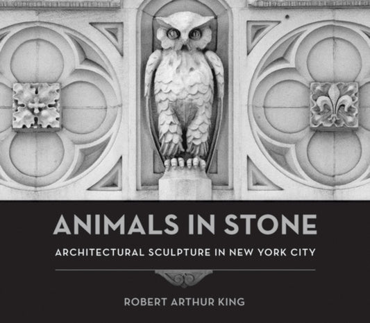 Book cover of: Animals in Stone. By: Robert Arthur King