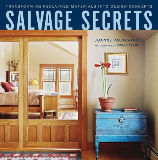Book cover of: Salvage Secrets. By: Joanne Palmisano