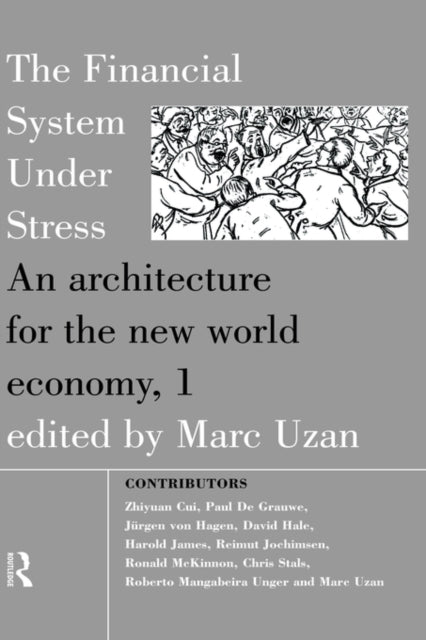 The Financial System Under Stress