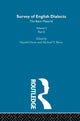 Book cover of: Survey Eng Dialects Vol2 Prt2