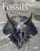 Book cover of: Bug Club Non-fiction Gold A/2B Fossils 6-pack. By: Jill McDougall