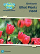 Book cover of: Science Bug: What plants need Workbook. By: Deborah Herridge