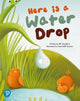 Book cover of: Bug Club Shared Reading: Here is a Water Drop (Year 2). By: Elli Woollard
