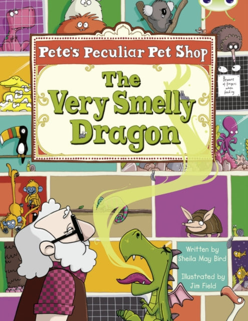 Book cover of: Bug Club Guided Fiction Year Two Gold A Very Smelly Dragon. By: Sheila May Bird