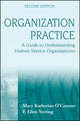 Book cover of: Organization Practice. By: Mary Katherine O'Connor