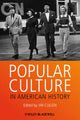 Book cover of: Popular Culture in American History. By: Jim Cullen